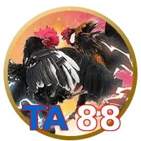 TA88
